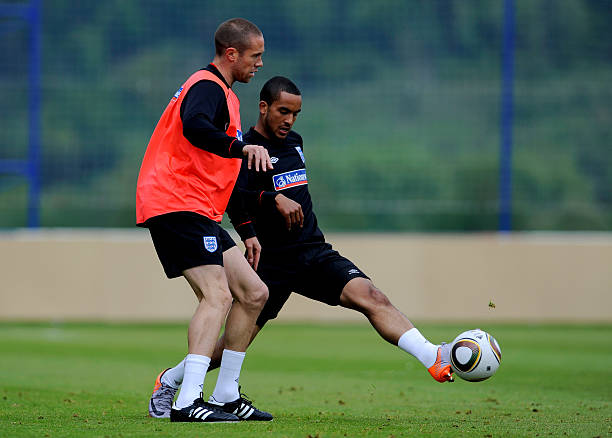 不妨来看看 不妨来看看