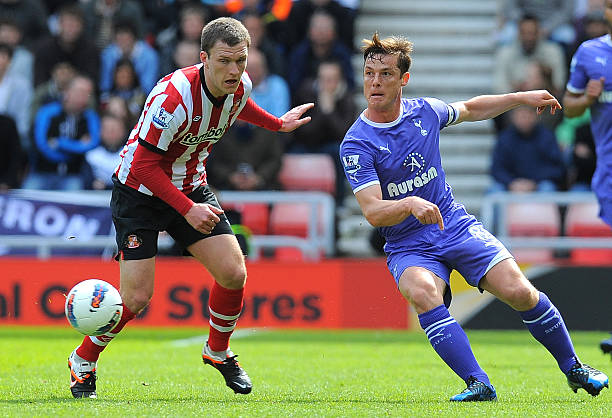 供了参考 供了参考